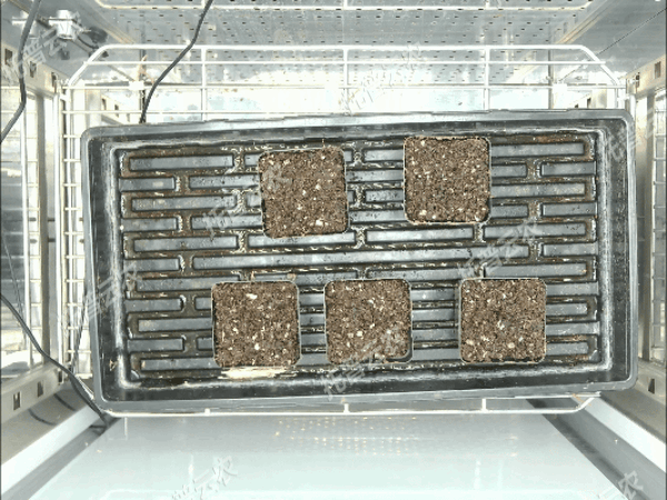 3(云農(nóng)).gif